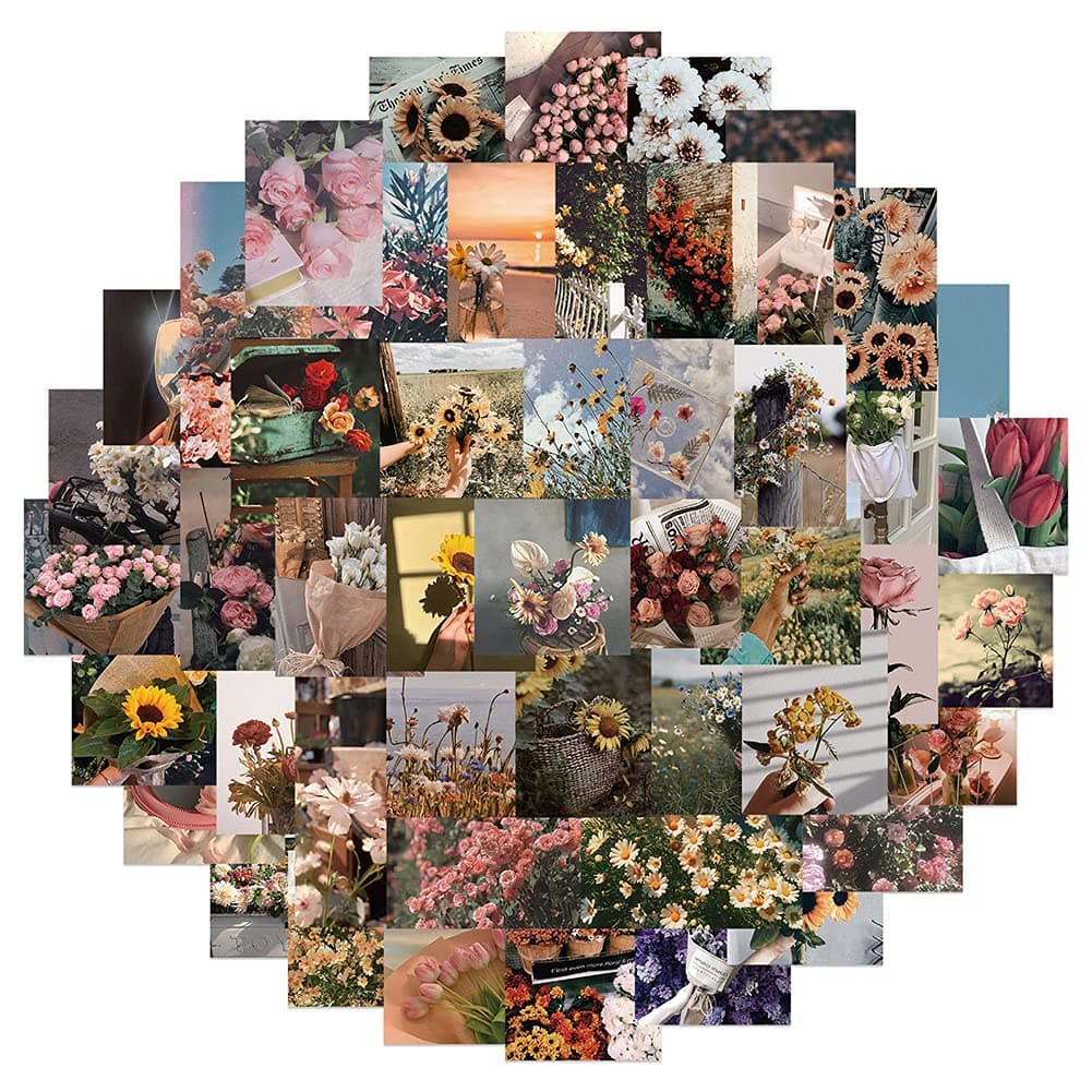 Disney Animation Themed Set Sticker, Mickey Mouse and Donacdduck Stickers for Kids,Laptop Hydro Flask Water Bottle Guitar Helmet Skateboard Luggage Bike Bumper,Best Gift for Kids Teen(50 Pieces)