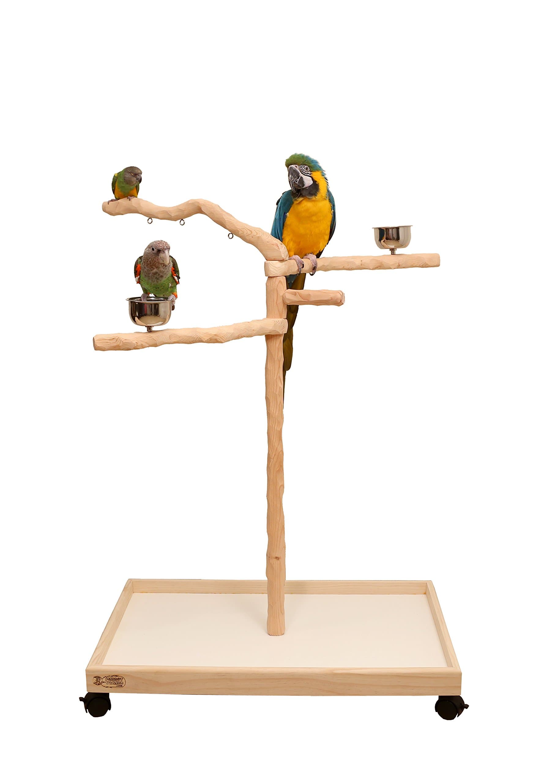 Parrot Wizard Perfect Tree for Parrots