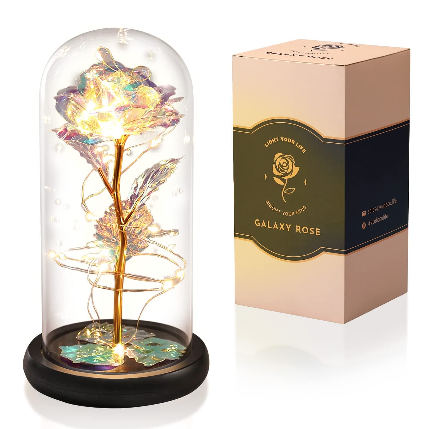VUDECO Beauty and The Beast Rose in Glass Dome for Her Galaxy Rose Enchanted Rose Glass Rose Forever Infinity Glass Flower Preserved Rose Crystal Light Up Rose