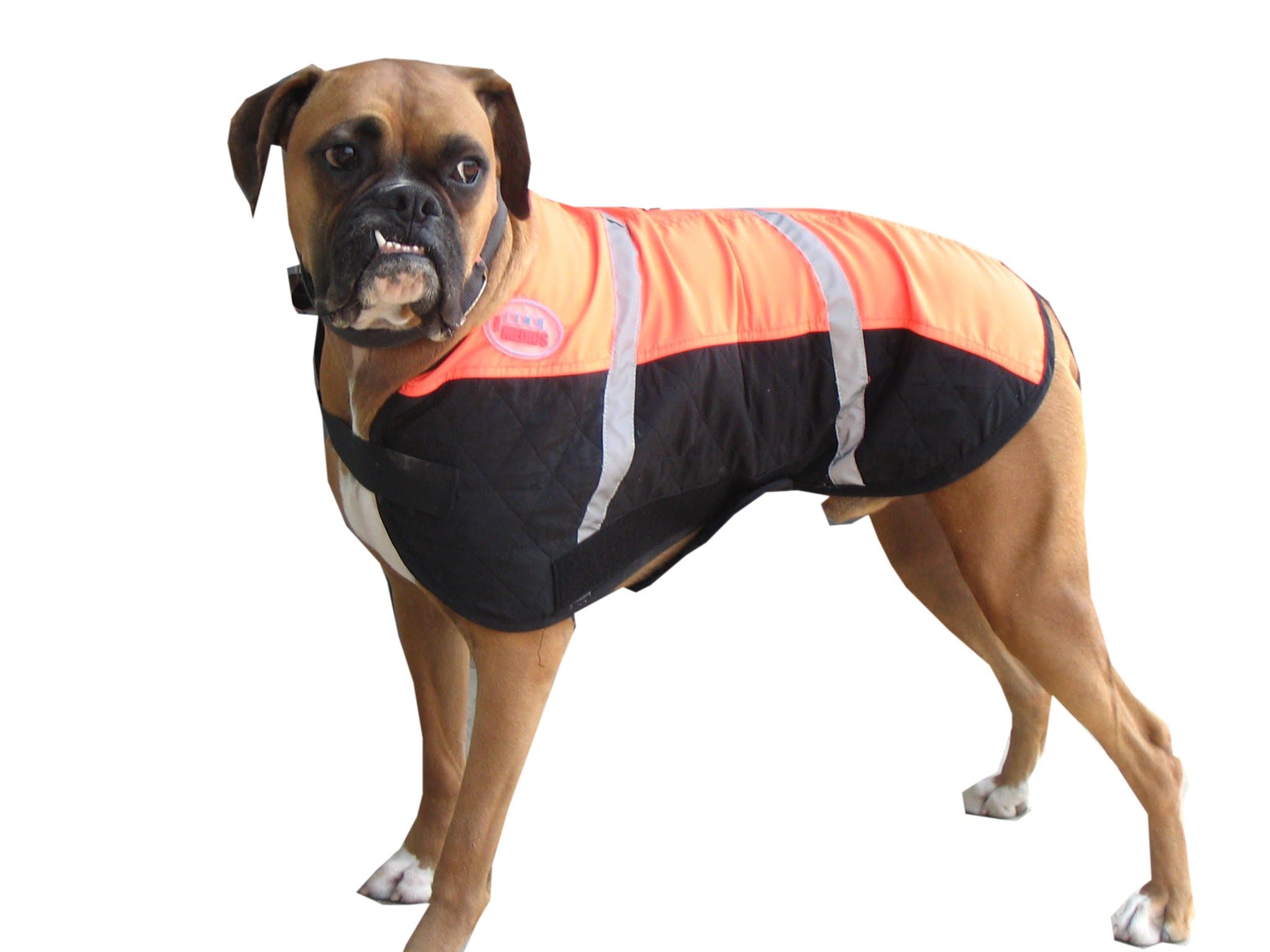 Cool Medics M4500 Canine Coat, 3X-Large, Orange/Black