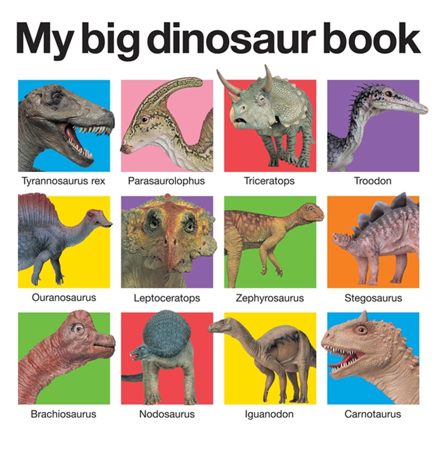 Priddy Books My Big Dinosaur