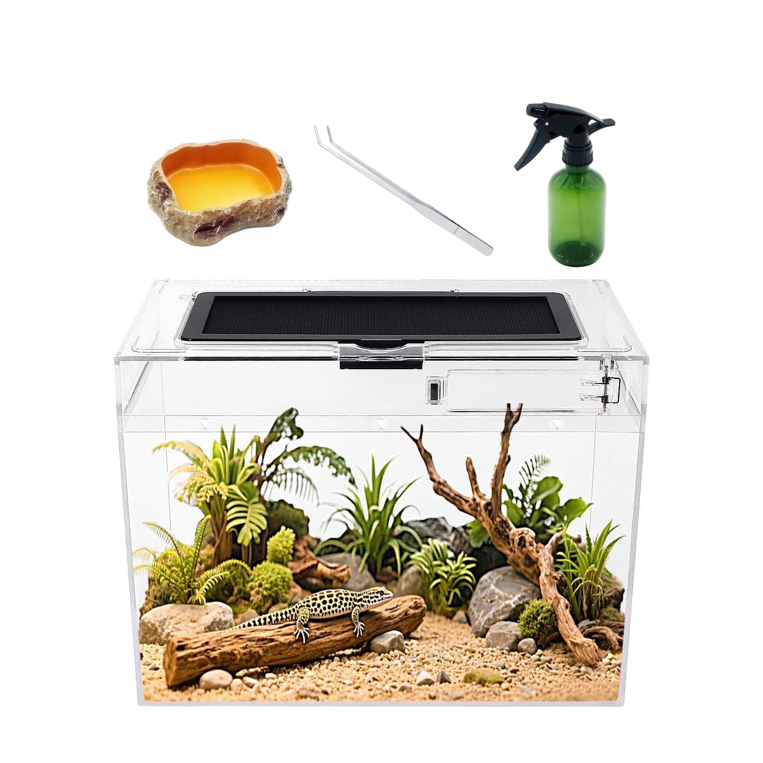 Reptile Growth Mini Reptile Terrarium,12" x 7"x 9" vivarium with Top Sliding Door Screen Ventilation for Small Fish,Insect,Snail,Gecko,Tarantula,Bearded Dragon,Jumping Spider,Stick Insect.