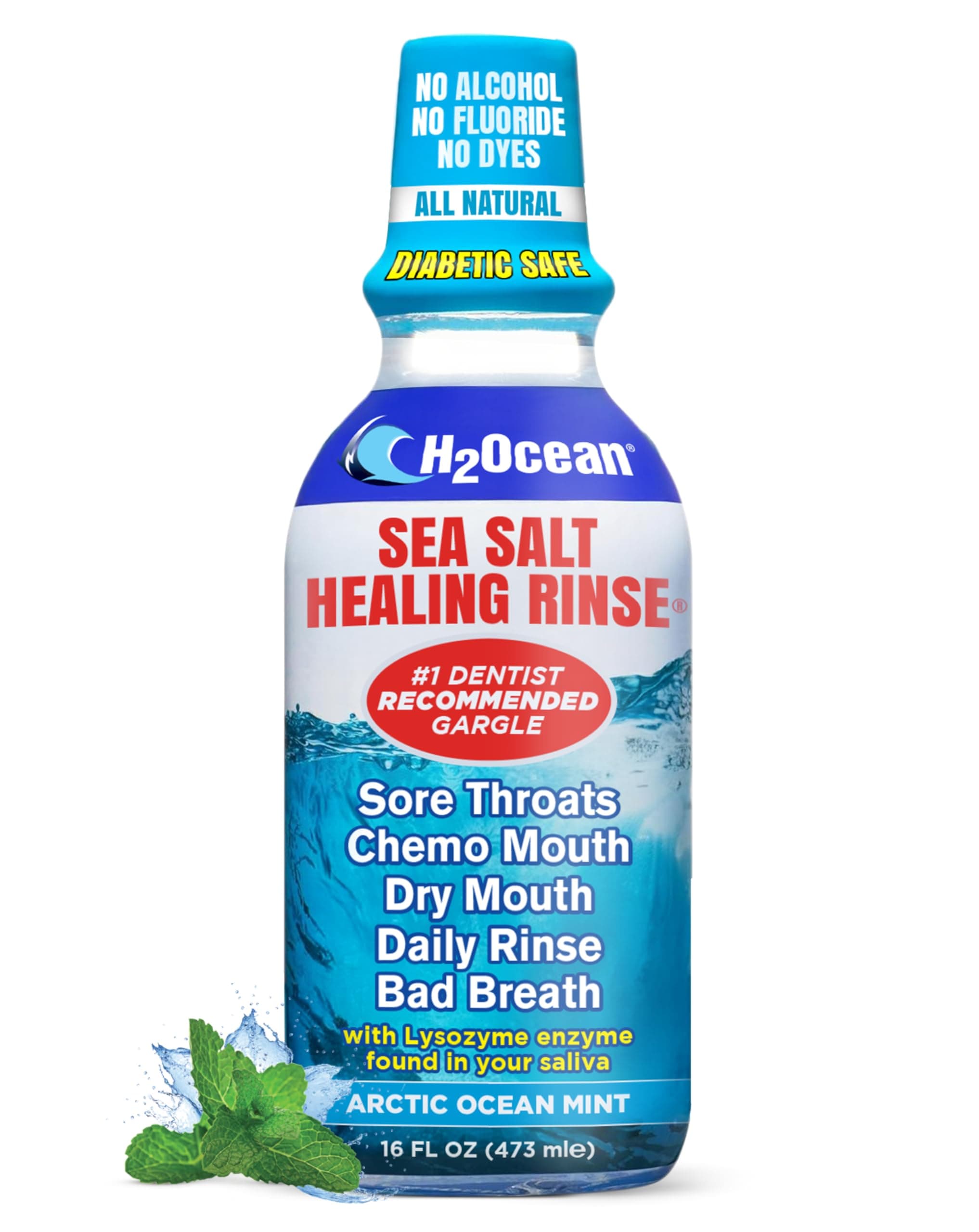 H2Ocean Healing Rinse Natural Sea Salt Mouthwash - Alcohol & Fluoride-Free Oral Care for Tonsil Stones, Sore Throats, Wisdom Teeth Recovery & Gum Health - Whitening Mouthwash, Arctic Ocean Mint, 16 oz