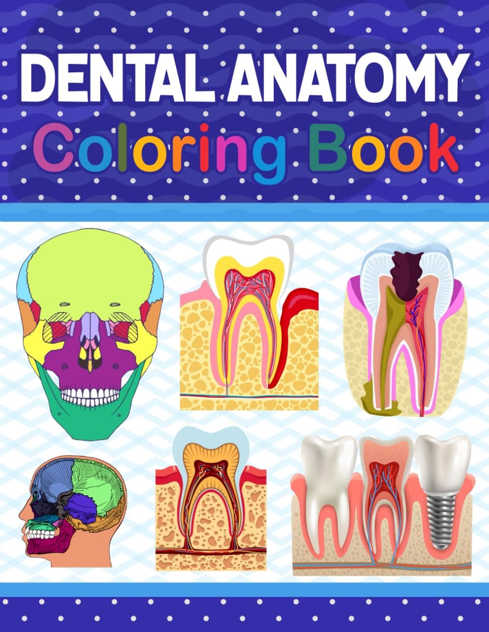 Dental Anatomy Coloring Book: Tooth Anatomy Coloring Work Book for Medical and Nursing students. Children's Science Books. Dental Anatomy Coloring Pages for Kids Toddlers Teens. Dental Assisting Paperback – January 25, 2021