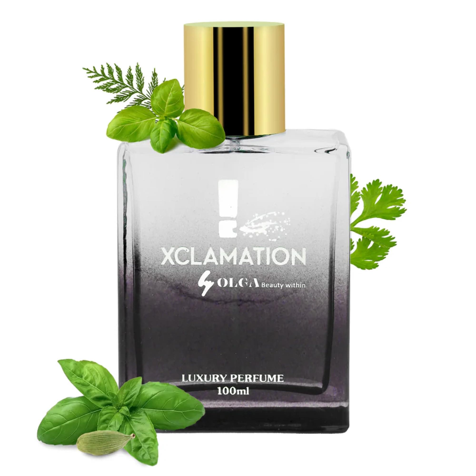 OLGA Perfume For Men And Women - Woody Xclamation 100 ML | Spicy, Woody Oudh ...