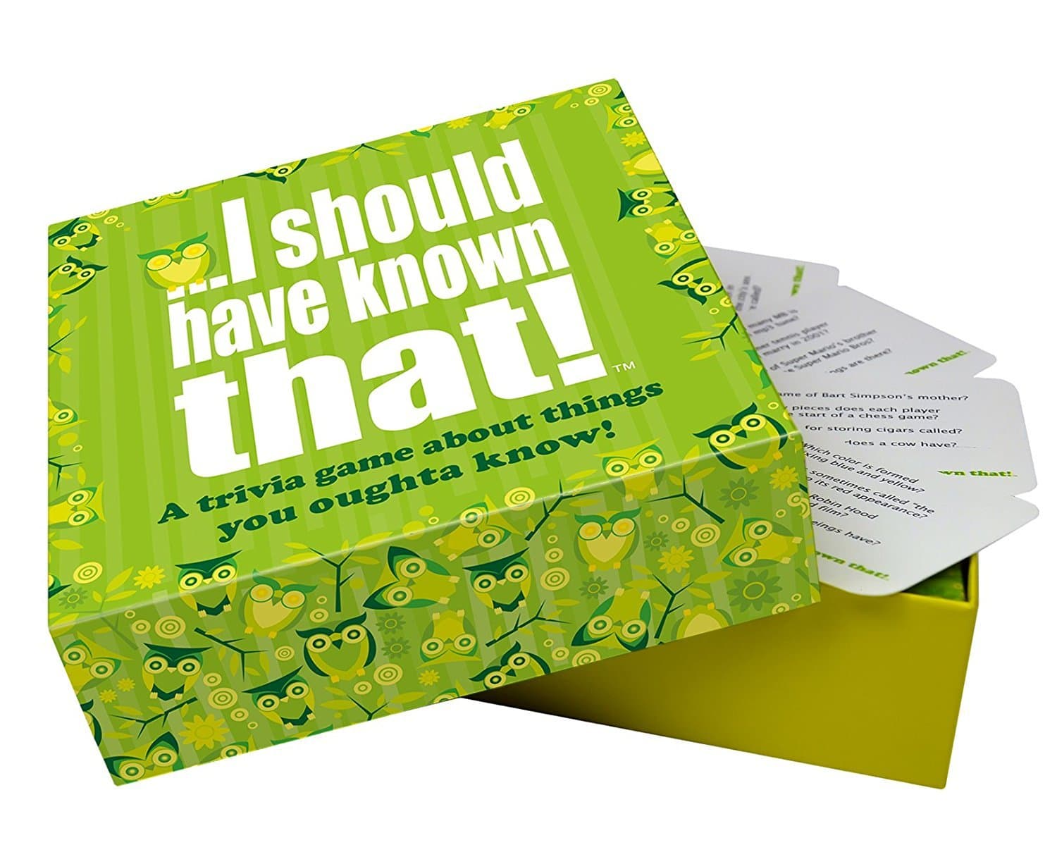 Kylskapsp Oesi KYL10102 – I should have known that! Card games