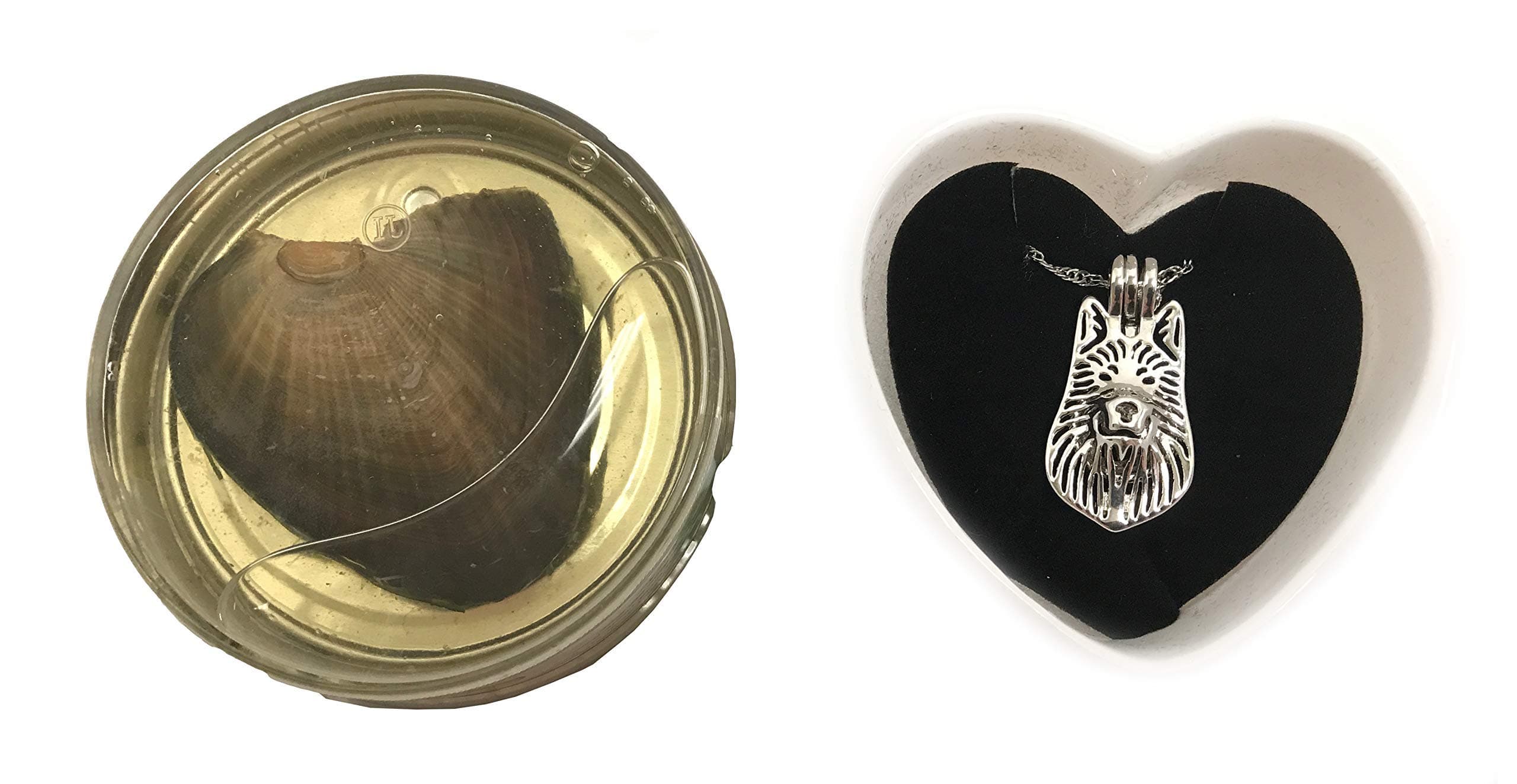 Love Pearl Creations Dogs Wish Kit with Pendant Necklace (German Shepherd)