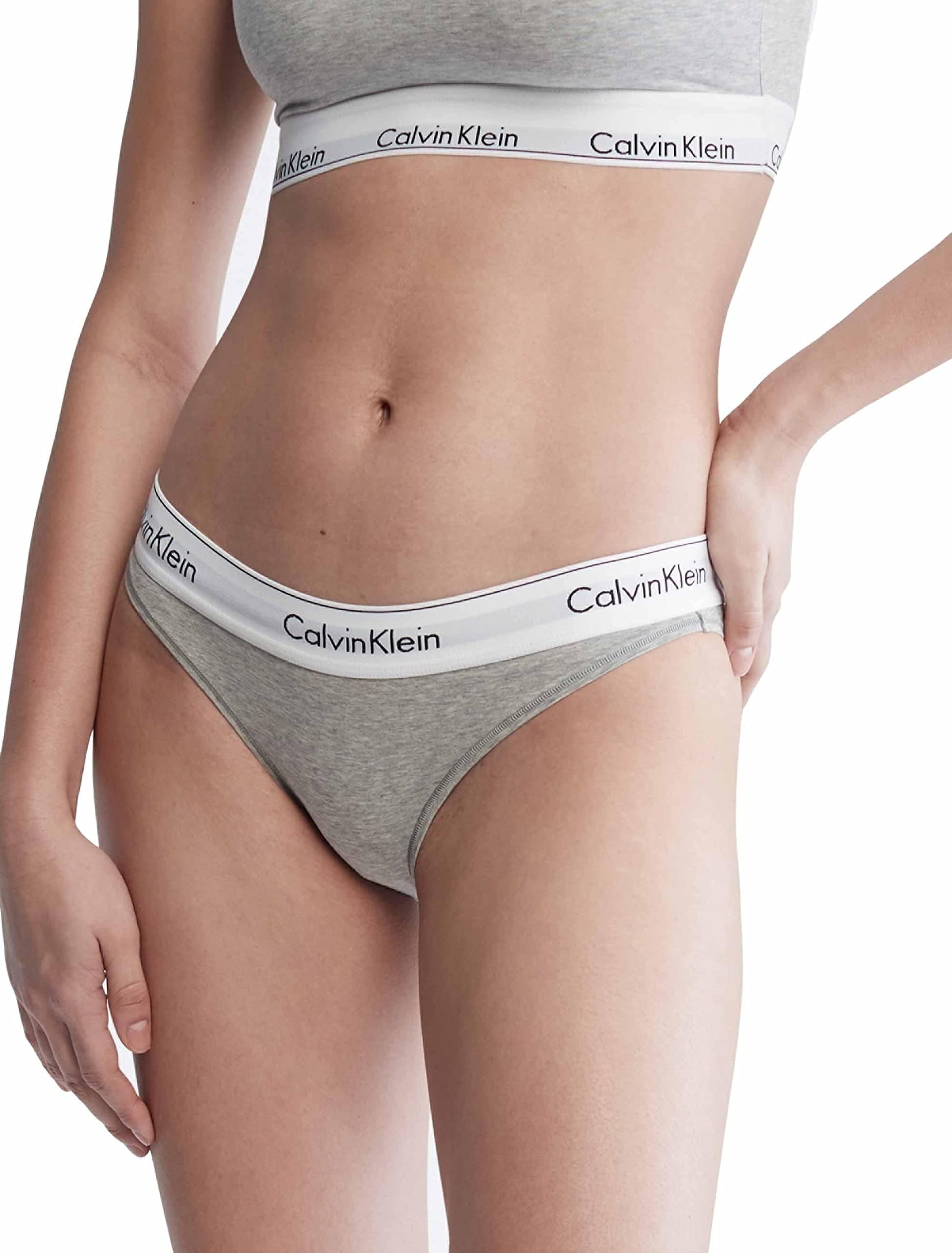 Calvin Klein Women's Modern Cotton Bikini Panty
