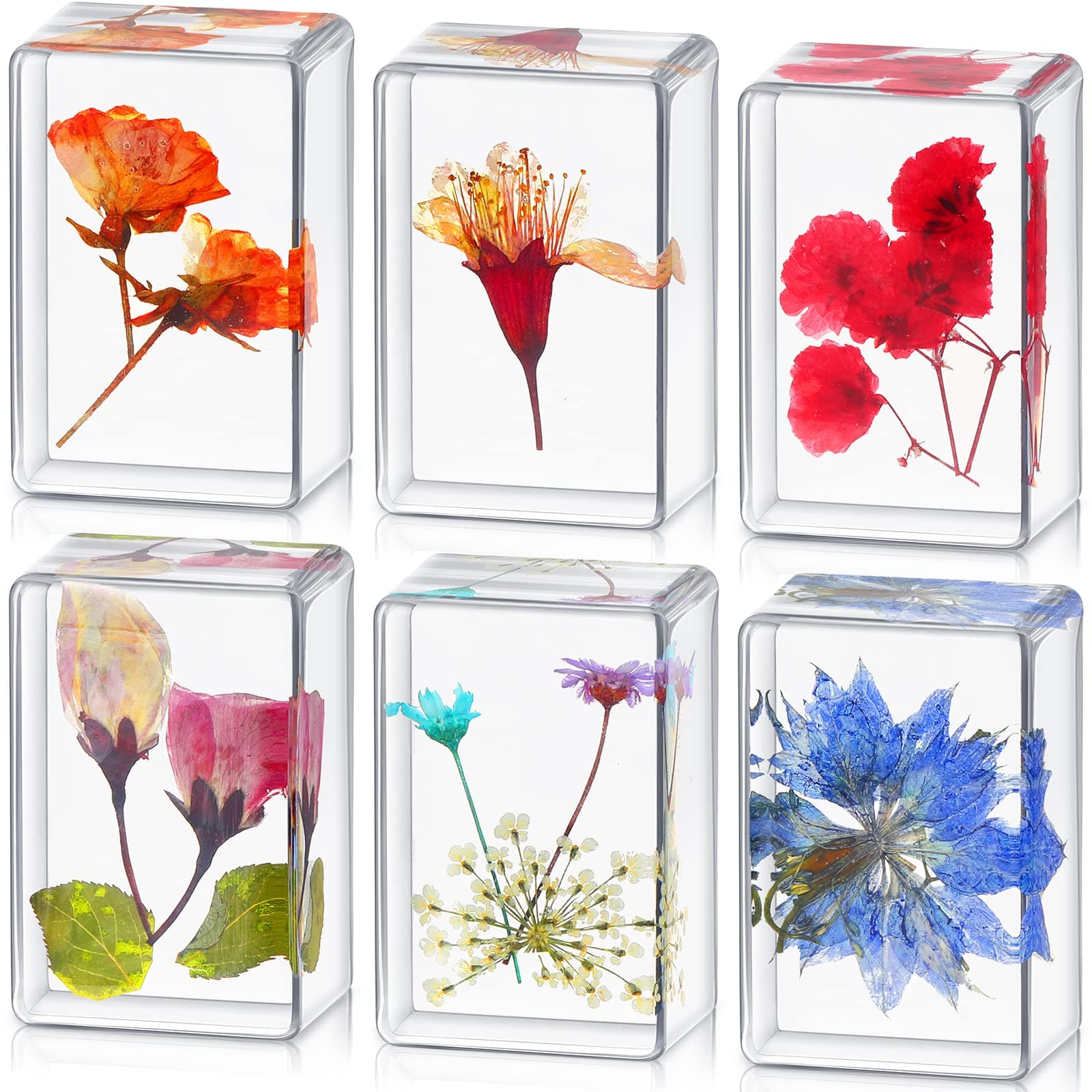 6pcs Pressed Flower Paperweight Resin Paperweight for Desk, Real Dried Flower Sample Paperweight Clear Square Paperweight Cube Desk Ornament Office Kitchen Table Decoration Educational Kit
