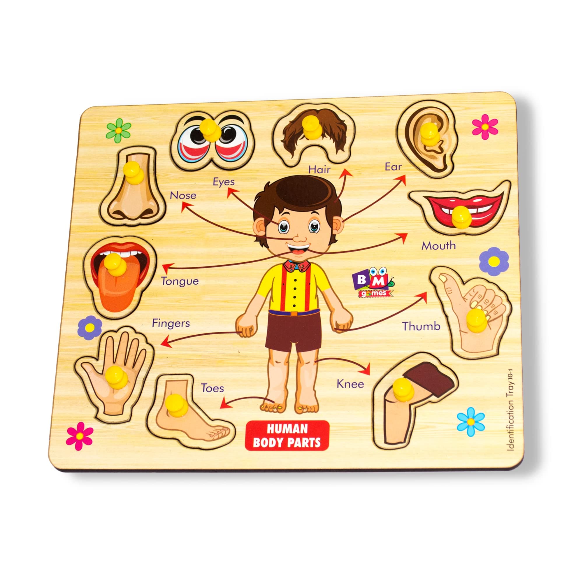 BuGBee Body Parts Toddler Puzzles For Kids Ages 2-4-8 Montessori Wooden Puzzles For Children 3-5 Years Old Preschool Game For Learning Human Body Parts Anatomy Skeleton - Gift Toys For Boy And Girl