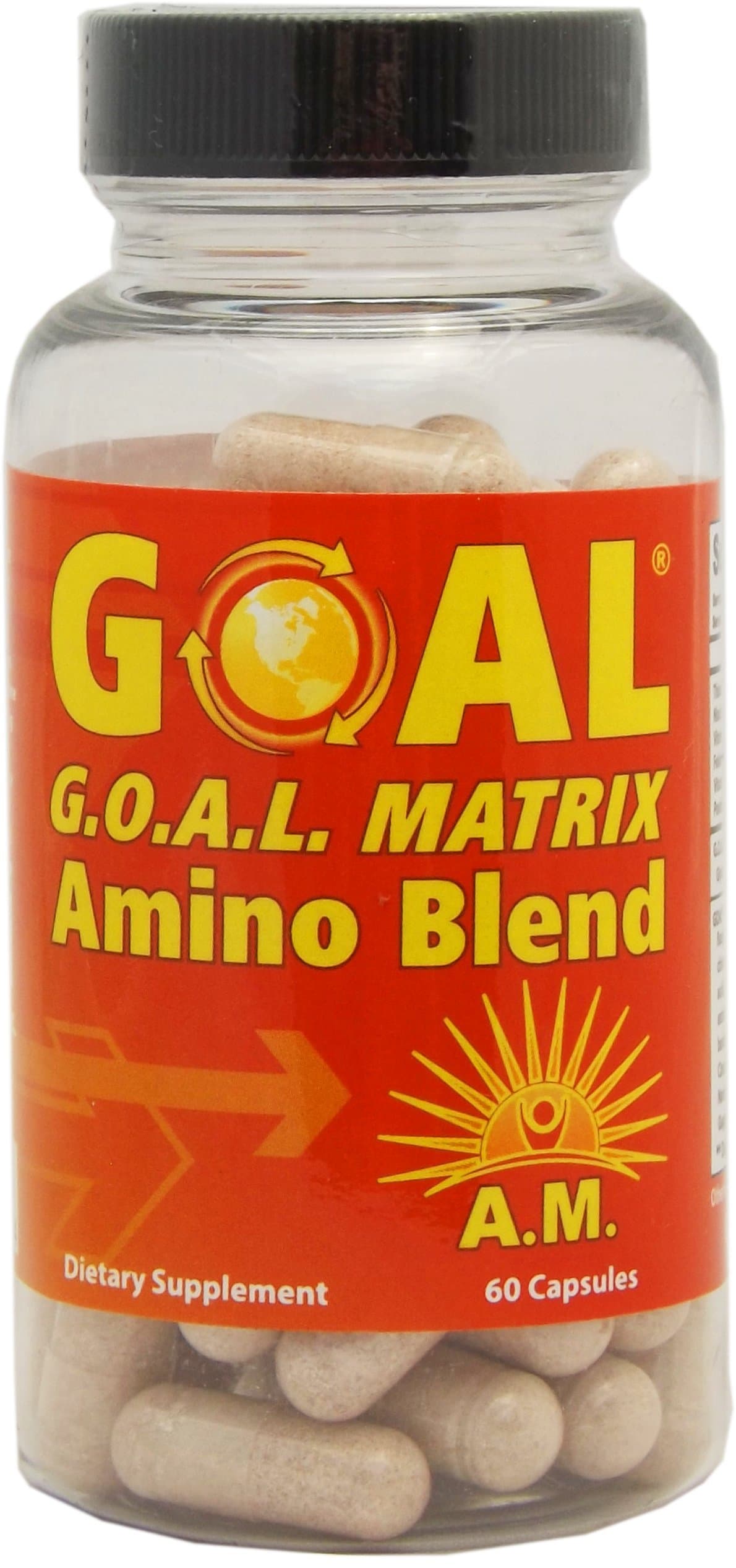 Goal - G.O.A.L. Matrix Amino Acids AM 60 Capsules - Best NO Supplement Tablets L-Glycine L-Ornithine L-Arginine L-Lysine Combination Anti-Aging Blend - Nitric Oxide Boosters for Men and Women