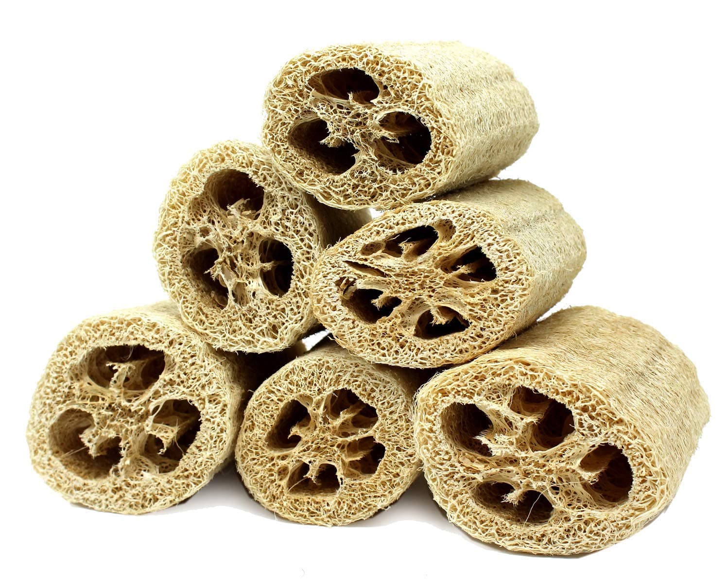 Natural Loofahs by Spa Destinations Six (6) Pack of 4 for Bath, Shower and Body- exfoliating for Men and Women