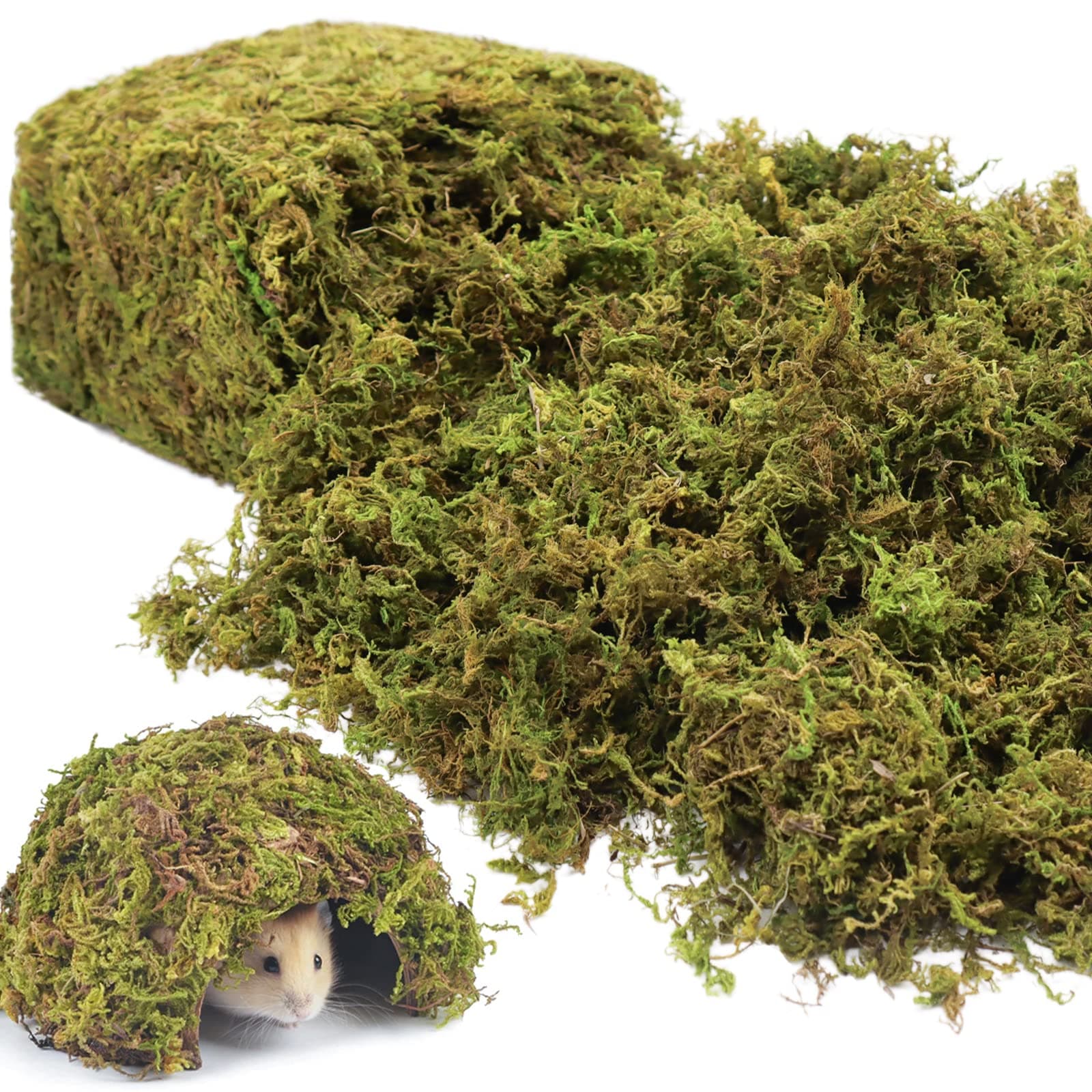 – 600g Habitat Moss Natural Hamster Moss-Soft Forest Moss Hamster Habitat for Dwarf Syrian Hamsters, Mices, Gerbils, Reptiles, Small Pets