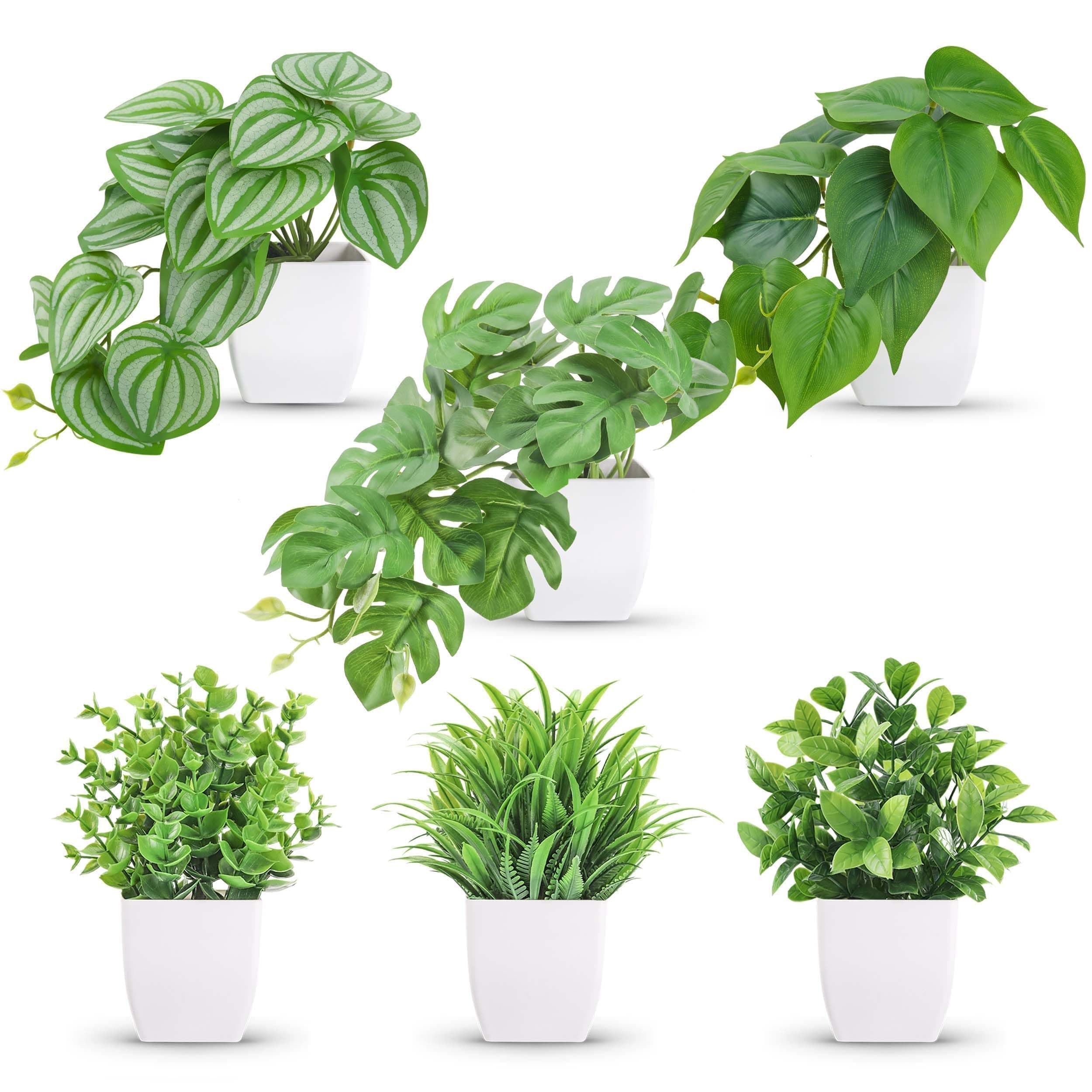 Der Rose 6 Pack Fake Plants Small Artificial Potted Plants Faux Plants for Home Office Desk Bathroom Aesthetic Farmhouse Room Decor Indoor