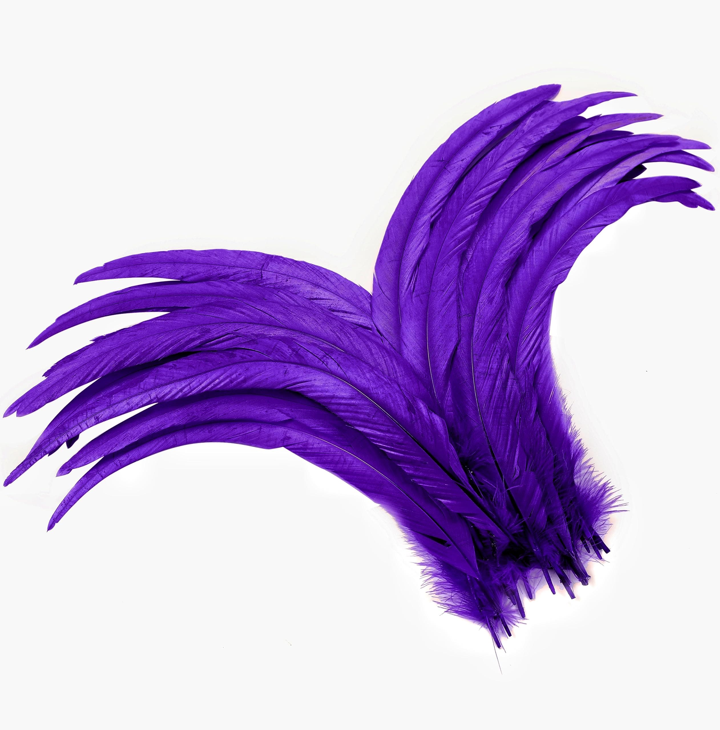 Holmgren Purple Rooster Feathers Bulk - 60pcs 12-14inch Natural Long Rooster Tail Feathers for DIY Crafts, Mardi Gras Masquerade Party Performances Decoration (Purple)