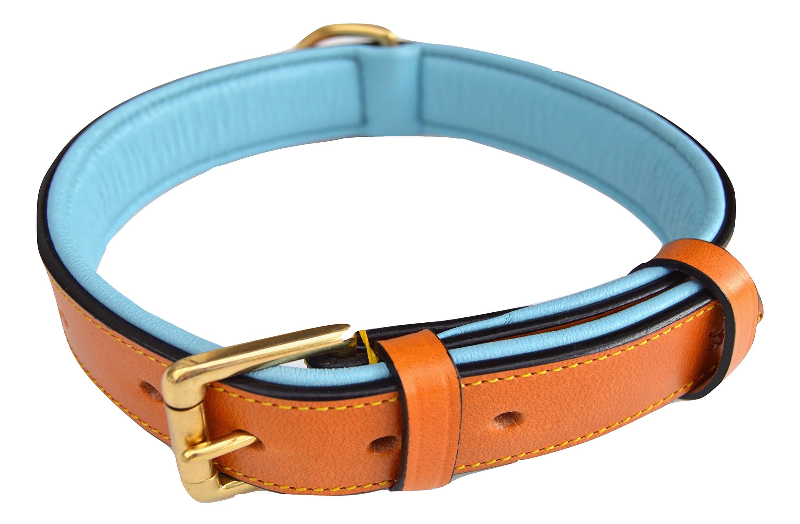 Padded Leather Dog Collar, Tan and Teal, Size Medium, 20" Long x 1" Wide, Neck Size 14.5" to 17.5" Inches