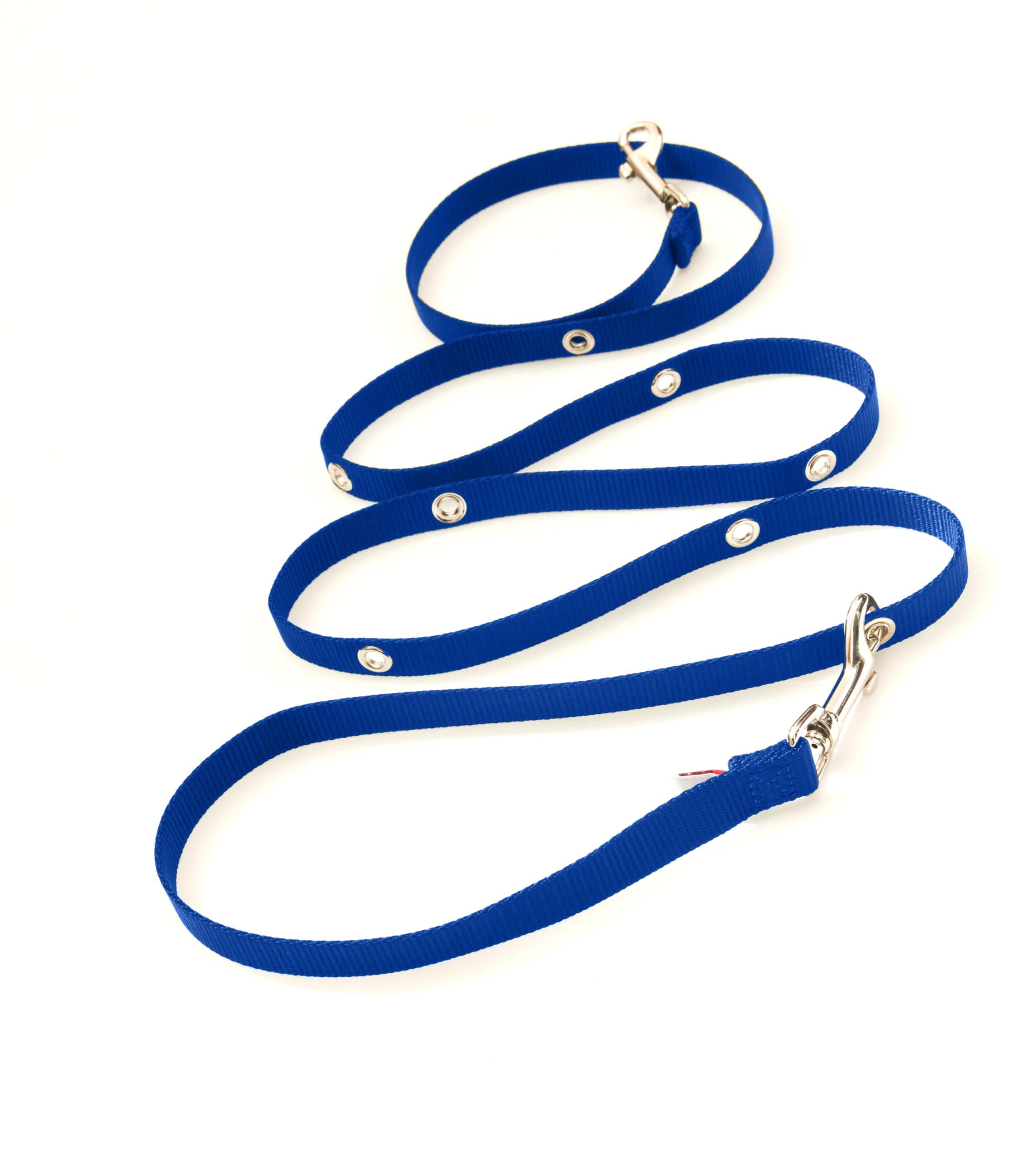 Snapleash Hands Free Double Clip Training Dog Leash