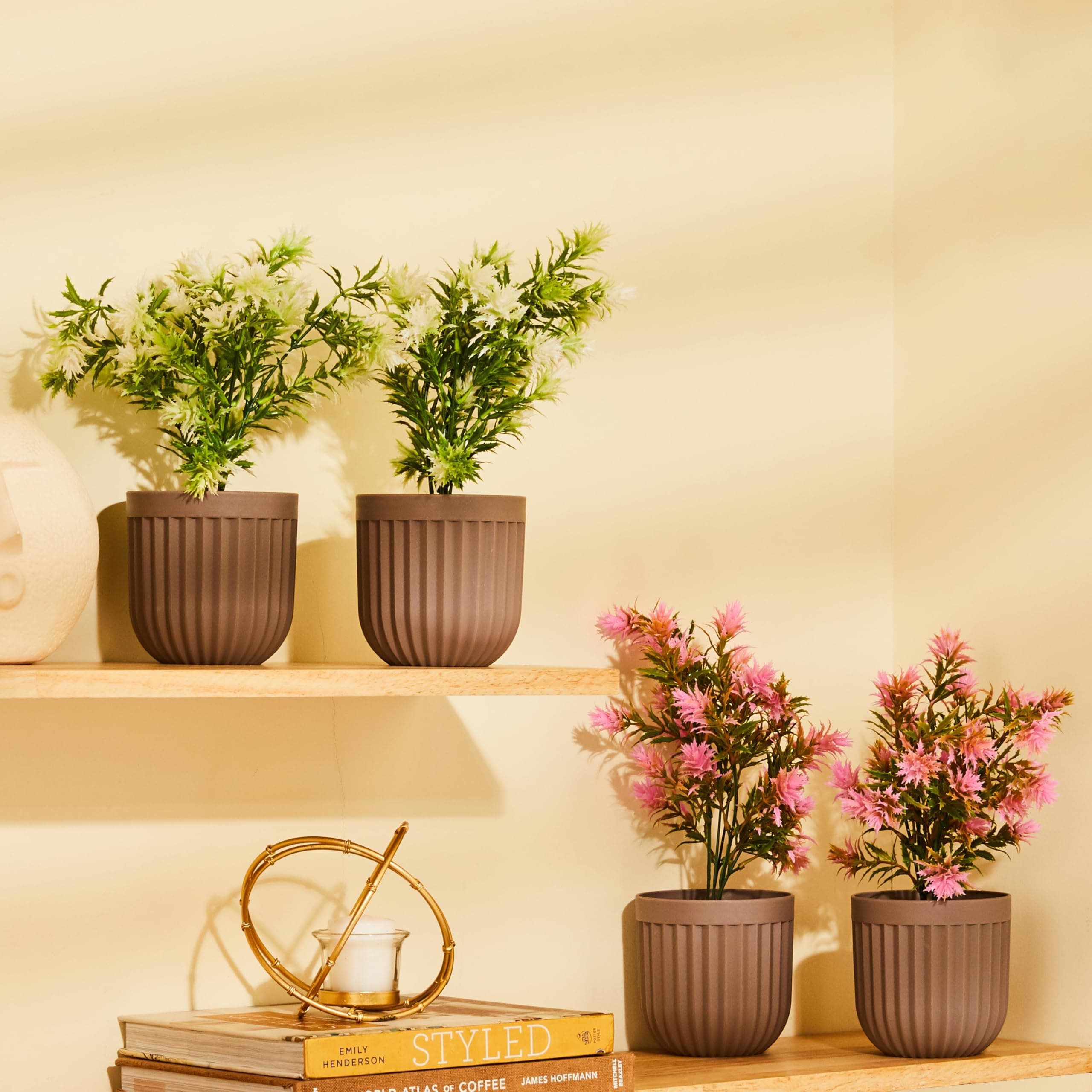 amazon basics Artificial Plants with Pot| Realistic Look|Durable Plastic|No Maintenance|Home Decor| Dimensions: 10 cm X 29 cm (Pack of Brown)