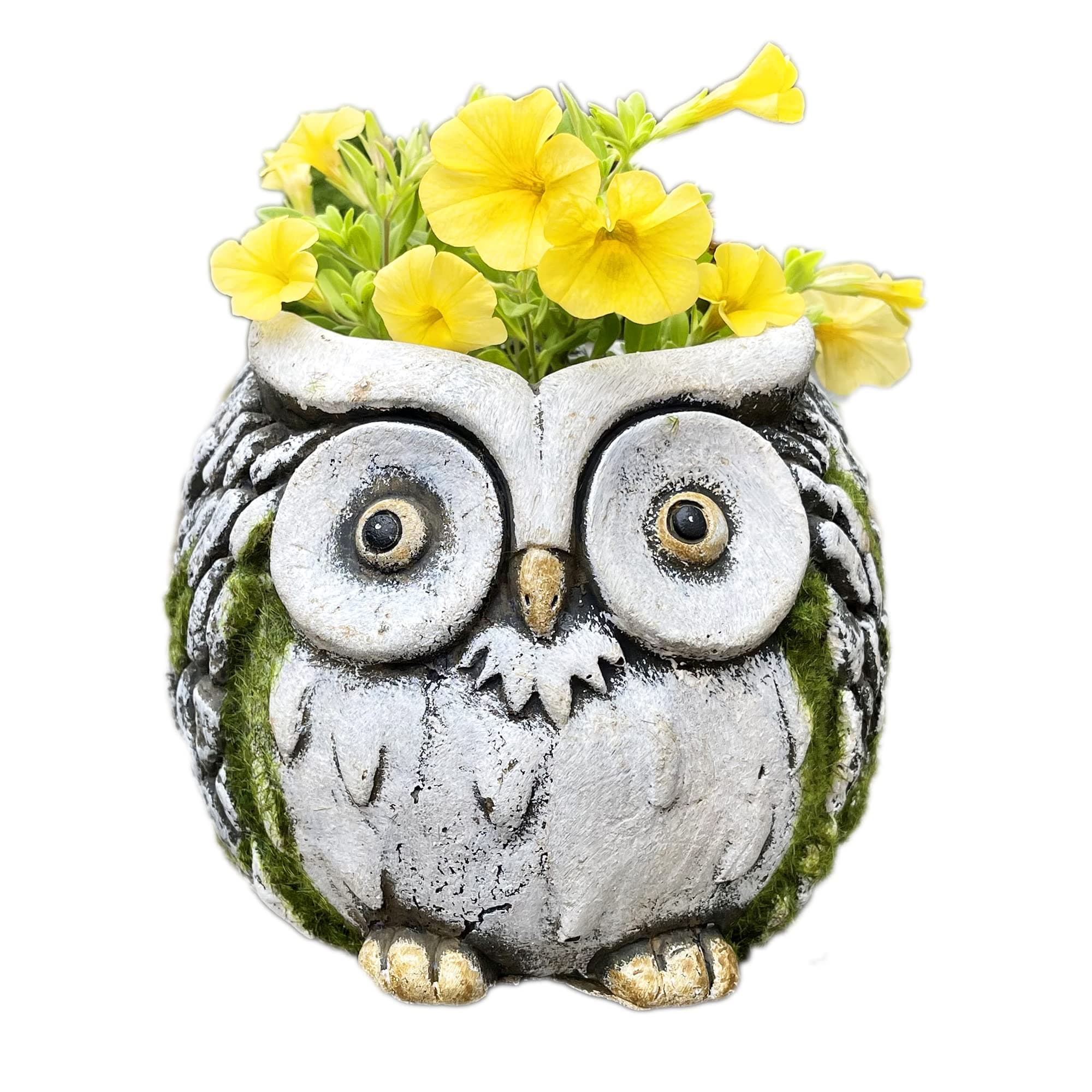 Darthome Cement White Faced Barn Owl Garden Flower Seed Plant Pot Holder Round Planter