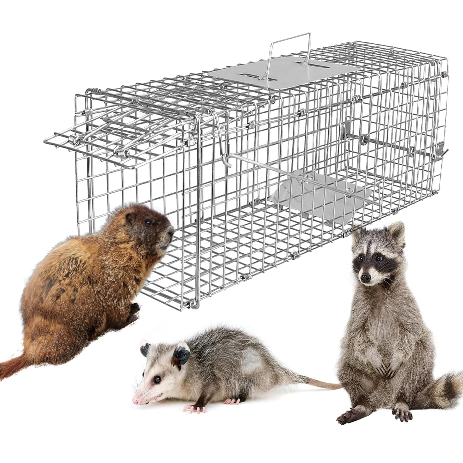iMounTEK Humane Animal Trap Live Animal Trap Catch Live Animal Rodent Cage Collapsible Galvanized Wire for Kitten Cat Squirrels Rabbits Small Raccoons Groundhogs Armadillos/23.3x7.24x7.72inches