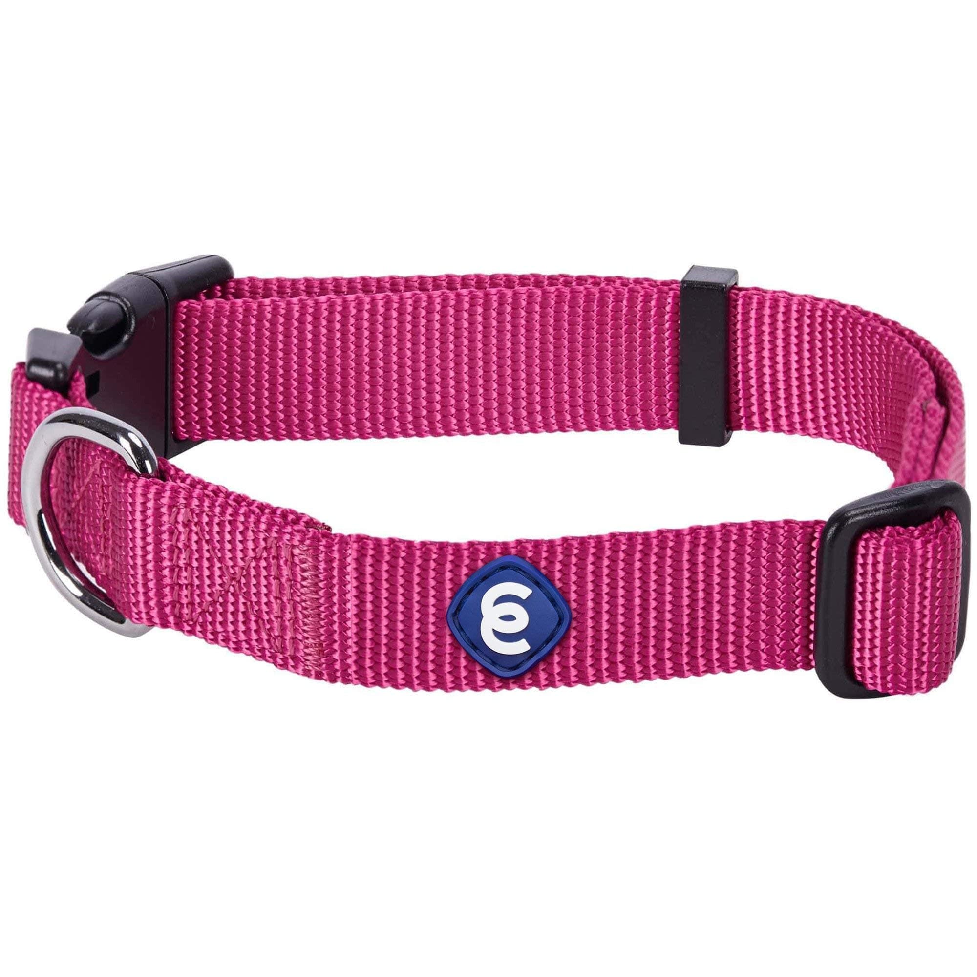 Blueberry Pet Essentials 20+ Colors Classic Dog Collars