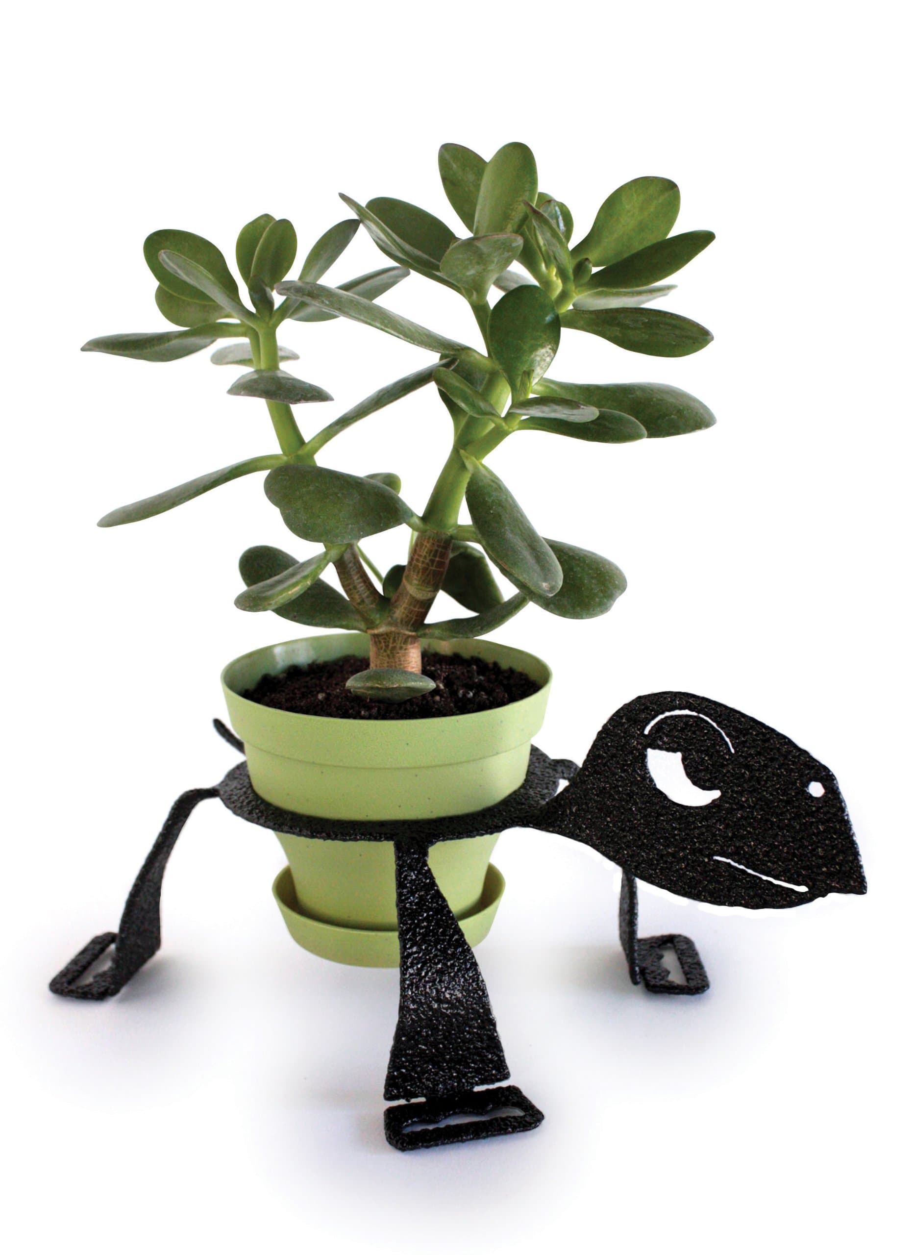 PotPals Planter Decor Plant Stand for 6-Inch Pot, Black, Turtle