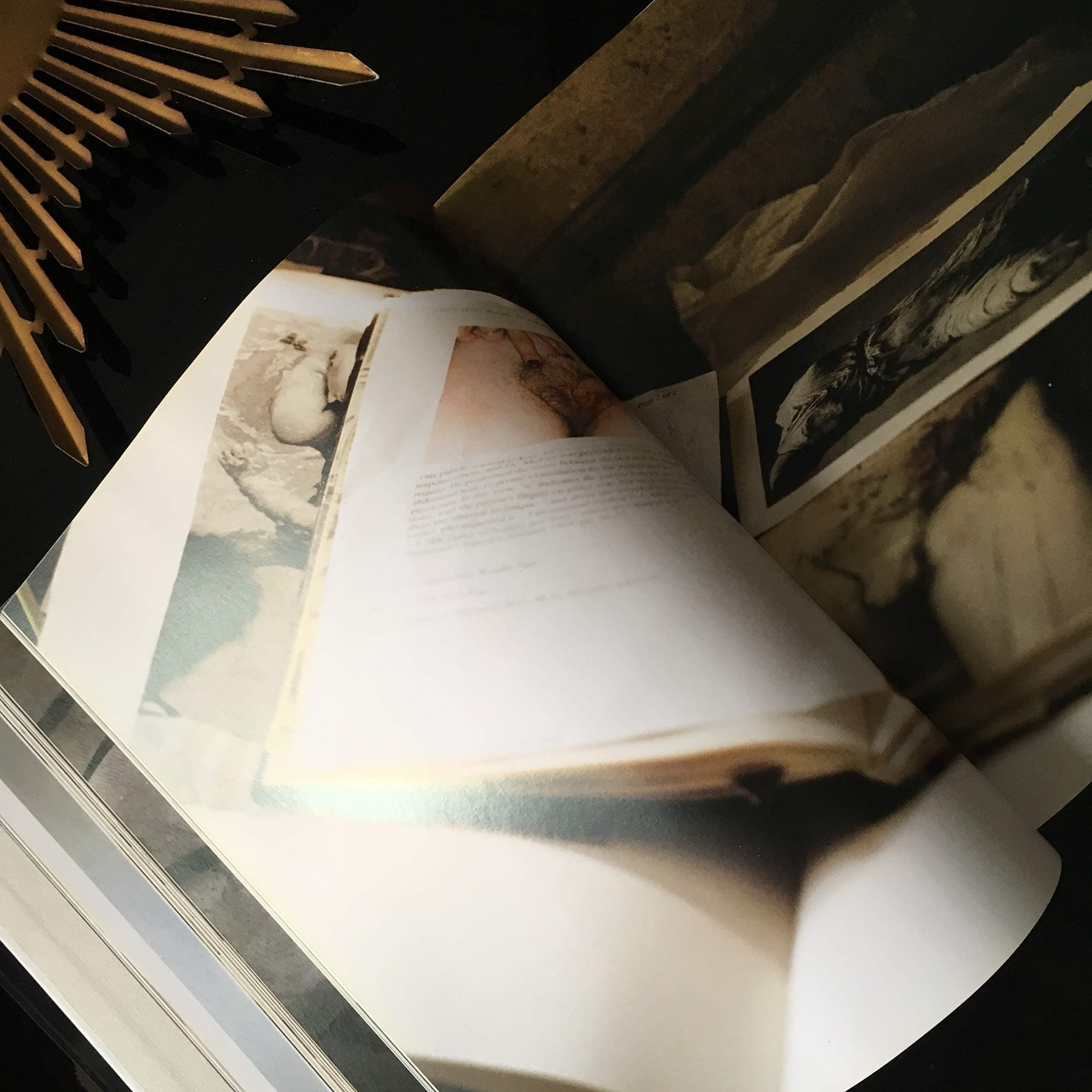 Jenny Saville Hardcover – 8 Nov. 2005