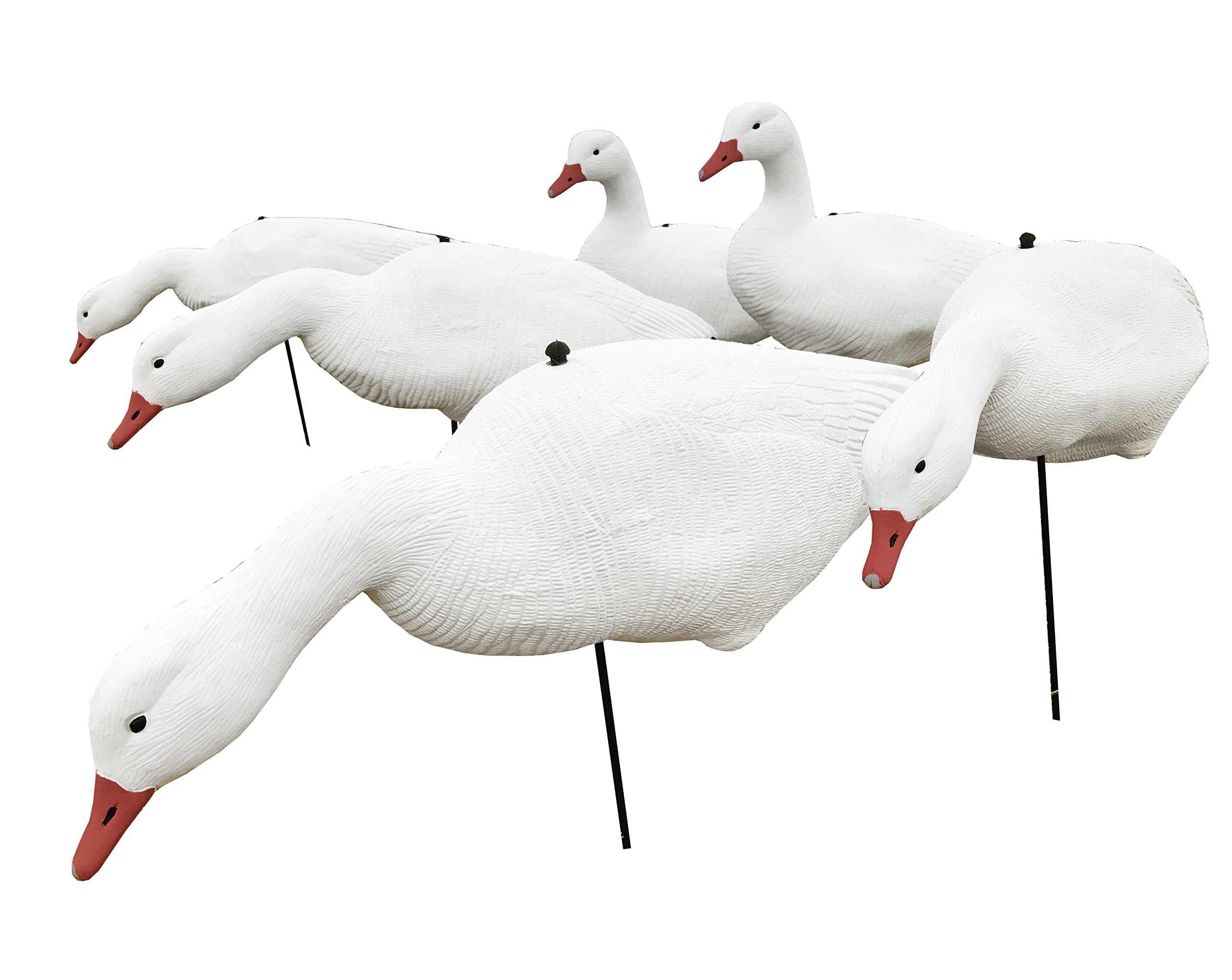 Fullbody Snow Goose Decoys - 6 Pack - Light Weight EVA - Cheap!