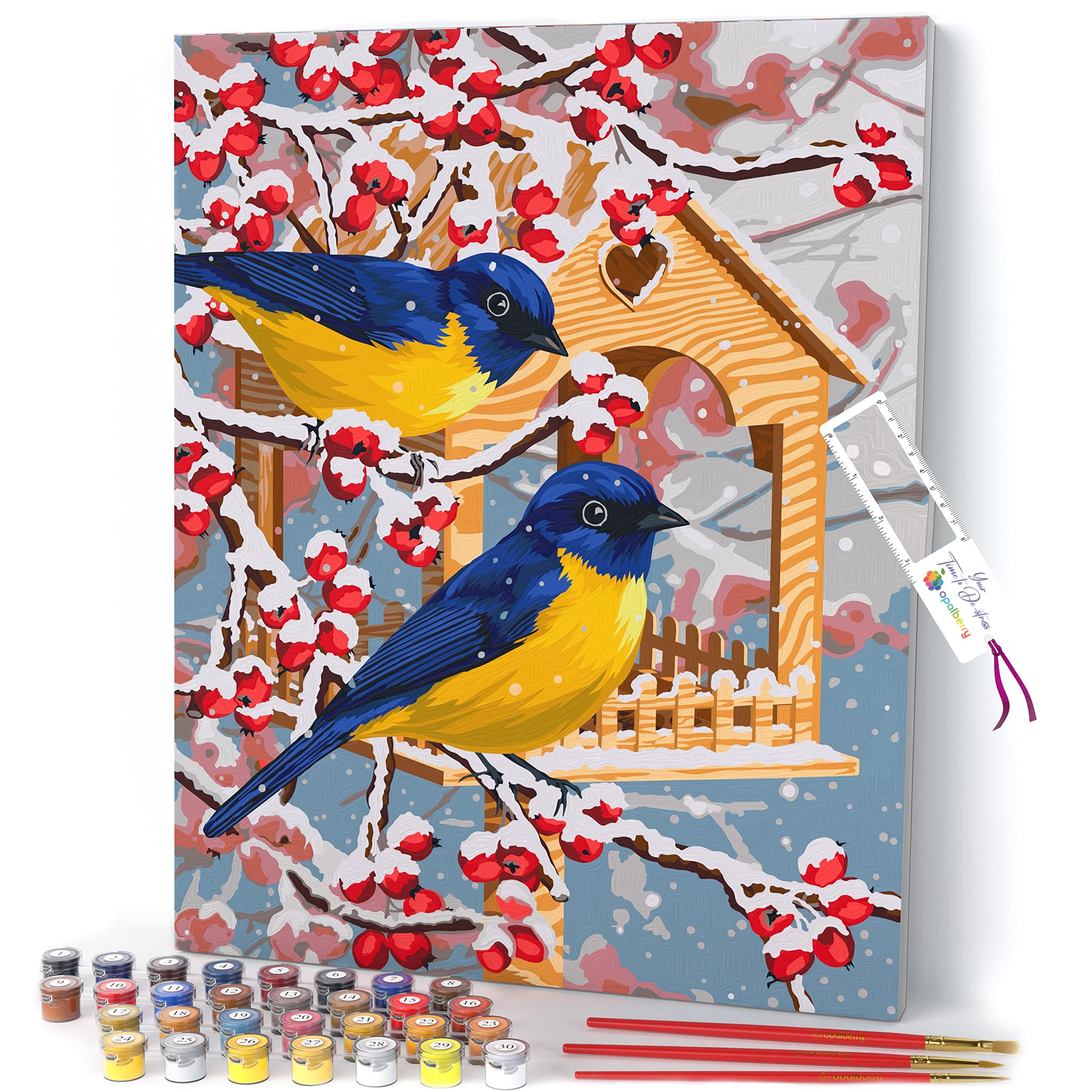 Opalberry Paint by Numbers for Adults Framed - Adults' Paint-by-Number Kits on Canvas - Paint by Numbers for Adults with Frame - DIY Painting by Numbers for Adults - Paint by Numbers Canvas