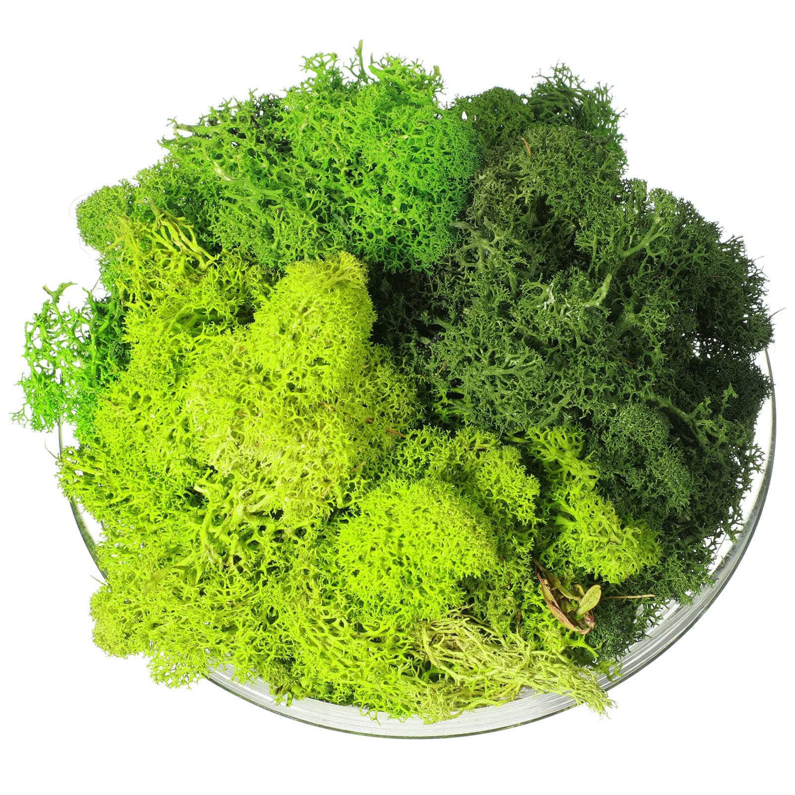 9 OZ Moss Green Preserved Artificial Decorative Moss Faux 3 Colors Mix Garden Dried Floral Forest Spanish Moss for Christmas Terrariums Potted Plants Craft Supplies (Dark Green, Green, Chartreuse)