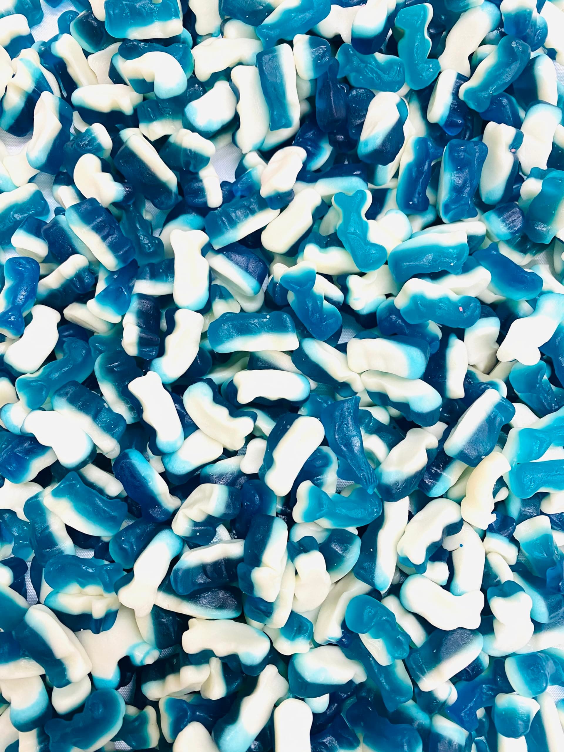 Gummy Fruit Flavour Jelly Mini Dolphin Sweets - 1KG Bag - Dolphin Shaped Sweets - Gummy With A Foam Bottom - Pick and Mix