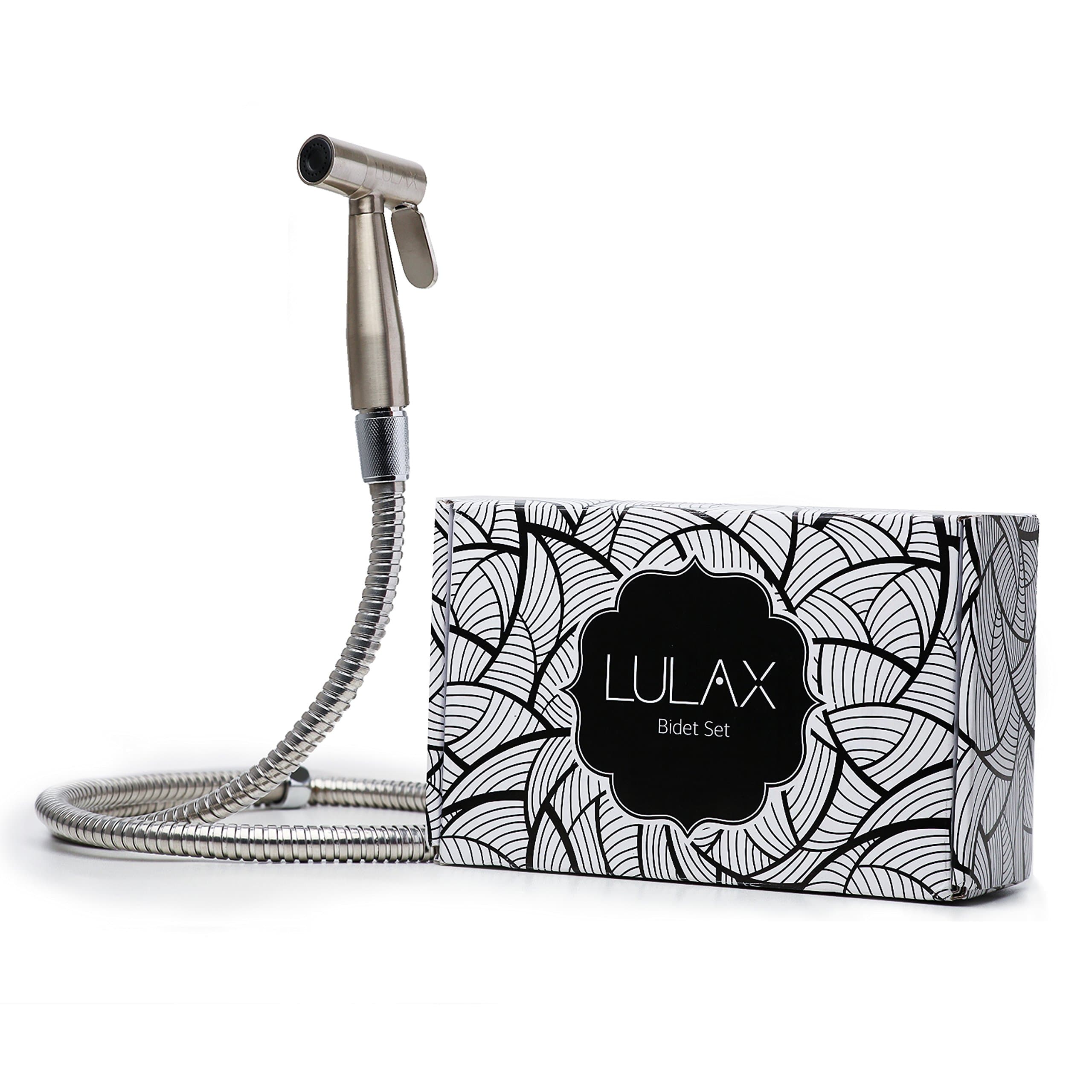 Aizhy Hand Held Stainless Steel Sprayer Shattaf Toilet Bidet Shower Head with 49-inch Hose and Bracket Holder, Silver