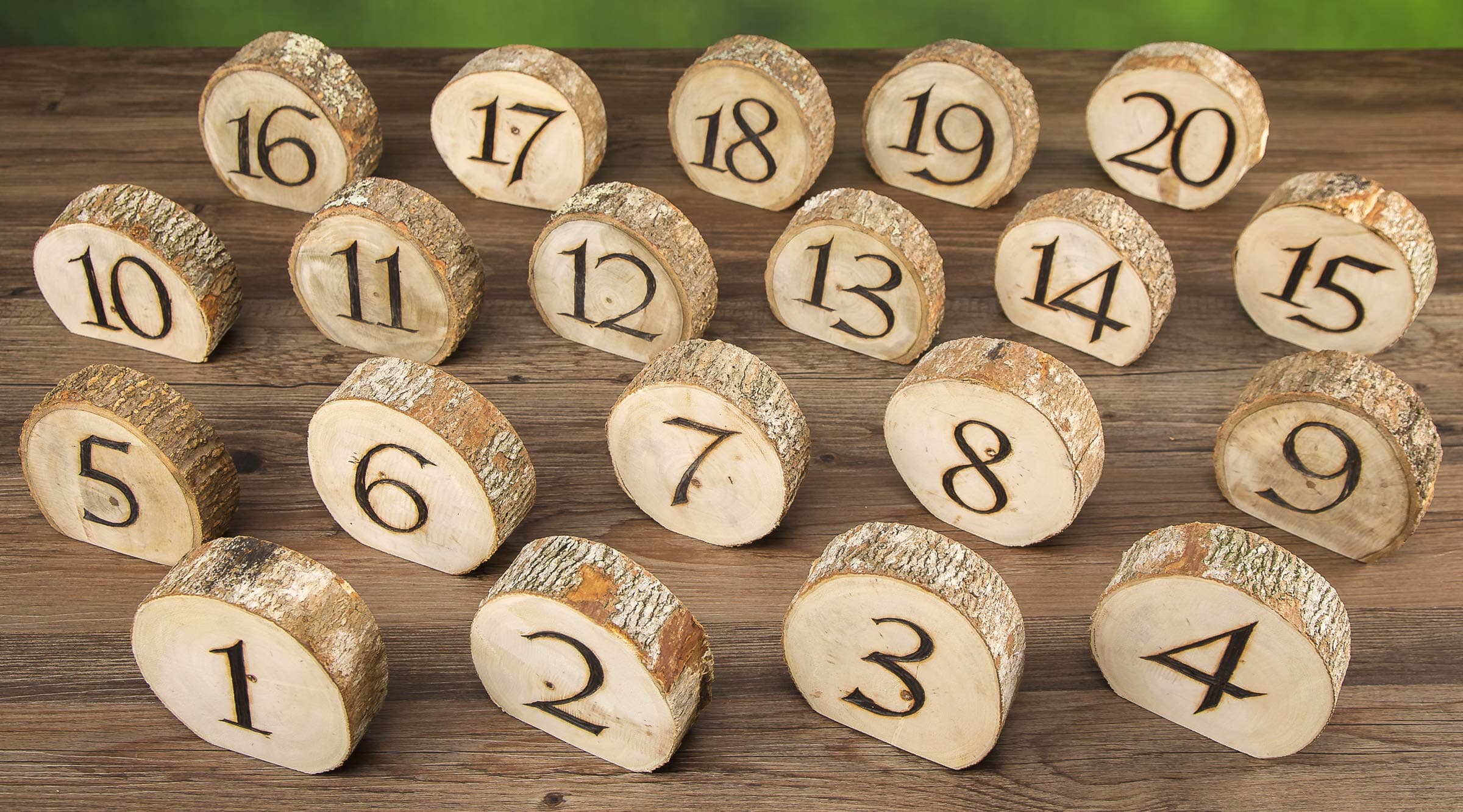 David Tutera Rustic Wedding Wood Slice Table Numbers: 20 Pieces, Multicolor