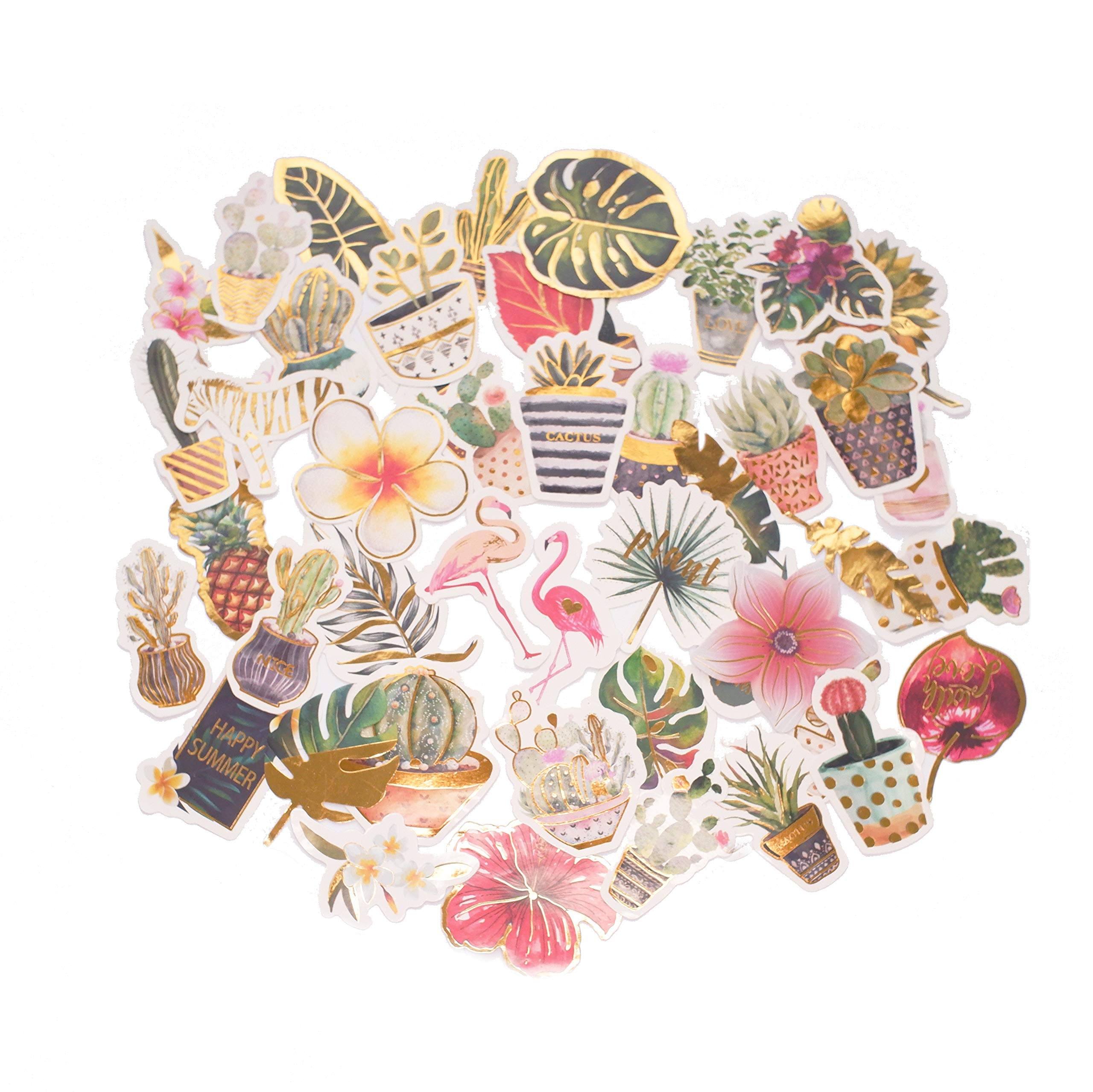 STICON Cute Tropical Rain Forest, Succulent Plants and Cactus, Flamingo Stickers for Laptop, Scrapbook, Kid Craft (48 Pieces)
