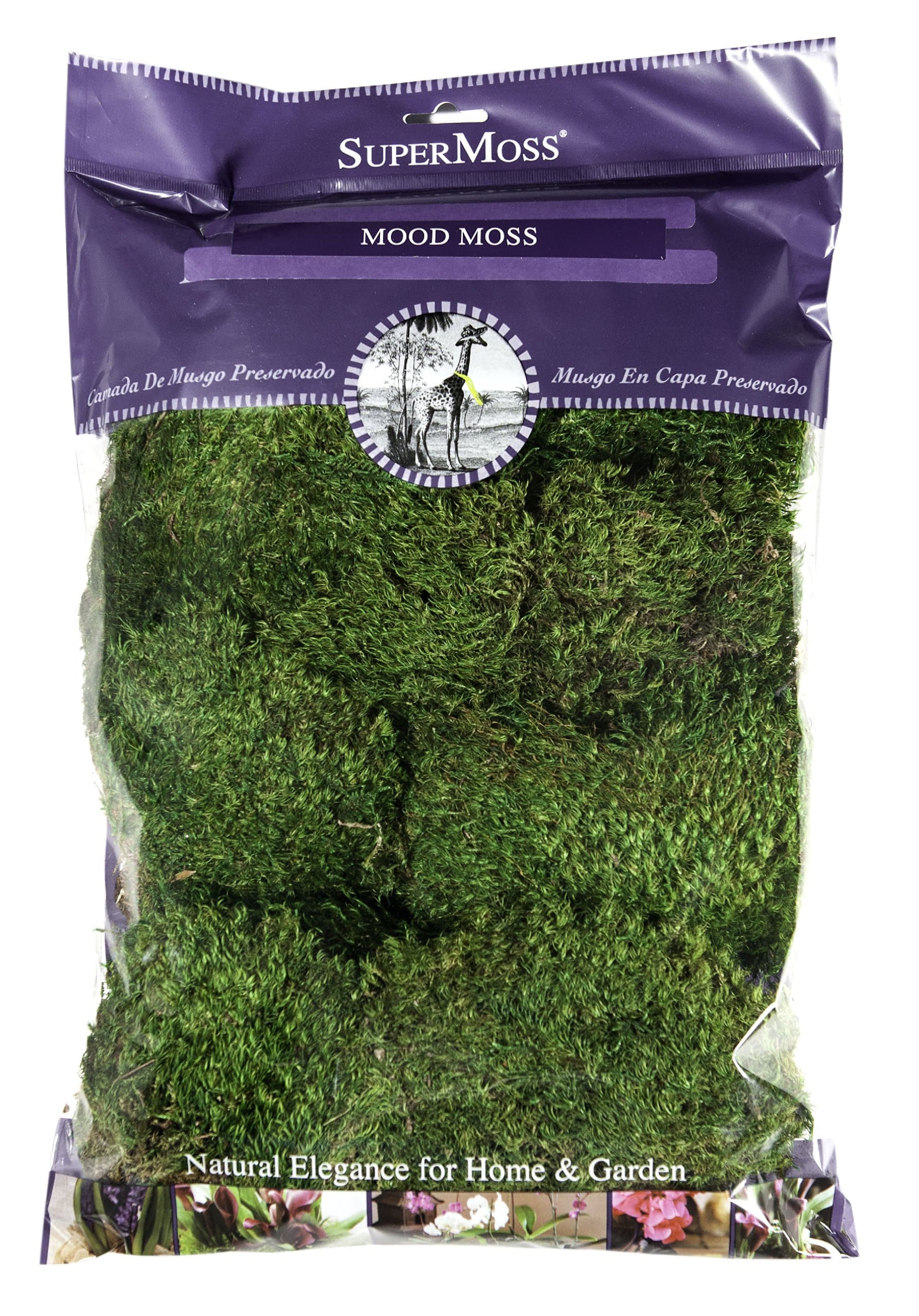 Super Moss Mood Preserved Natural Green 1200cuin