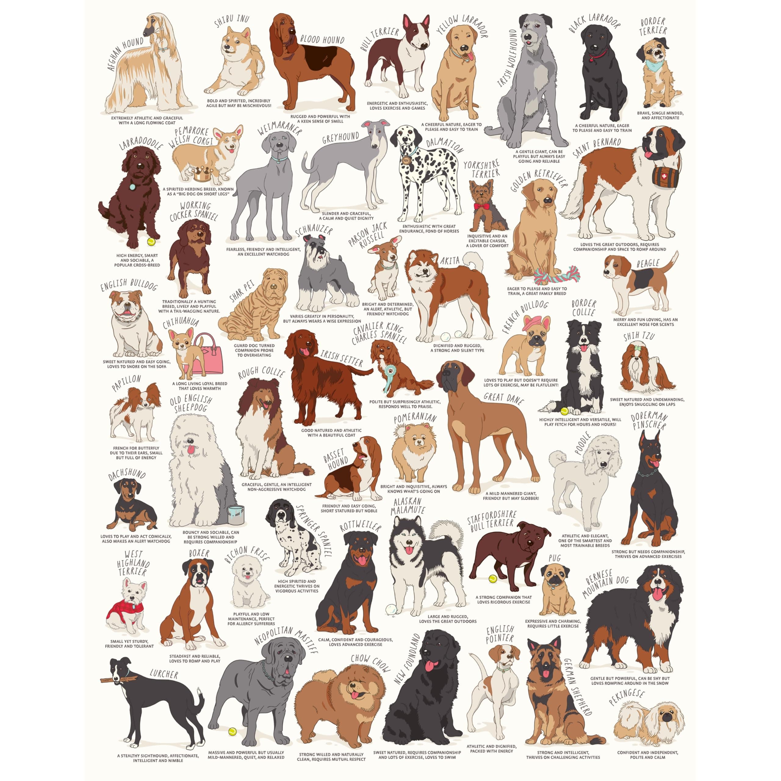 Dog Lover's 1000 Piece Jigsaw Puzzle