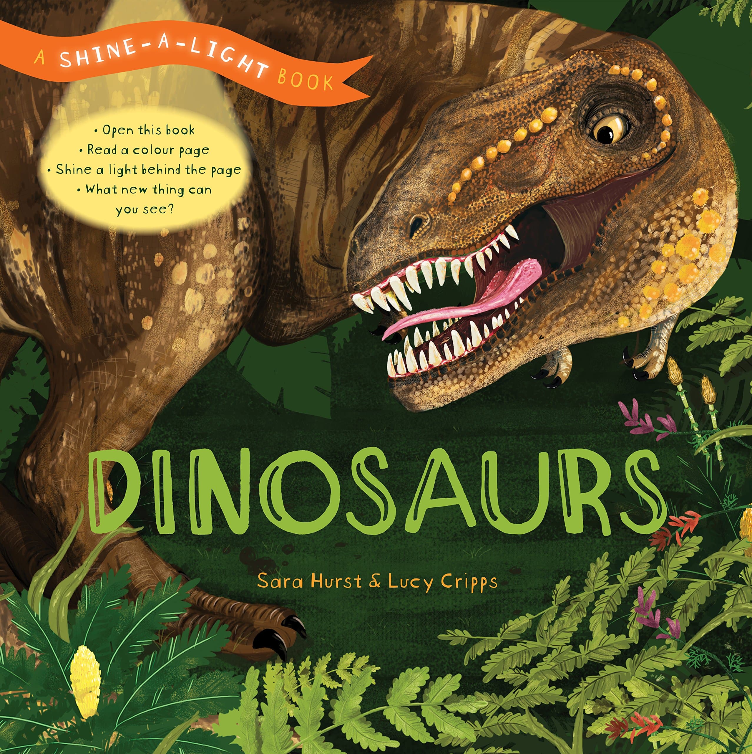 Ivy Kids Shine a Light: Dinosaurs: A shine-a-light book